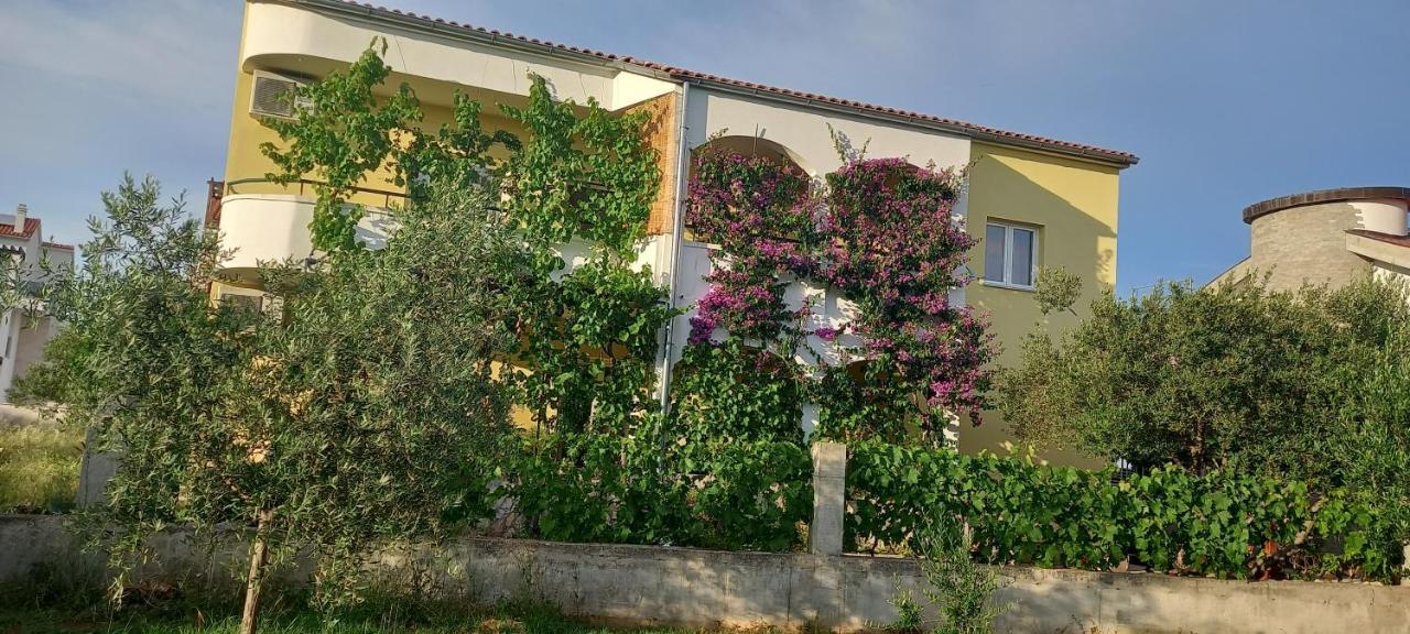 Apartment Apartmani Vranjkovic Vodice