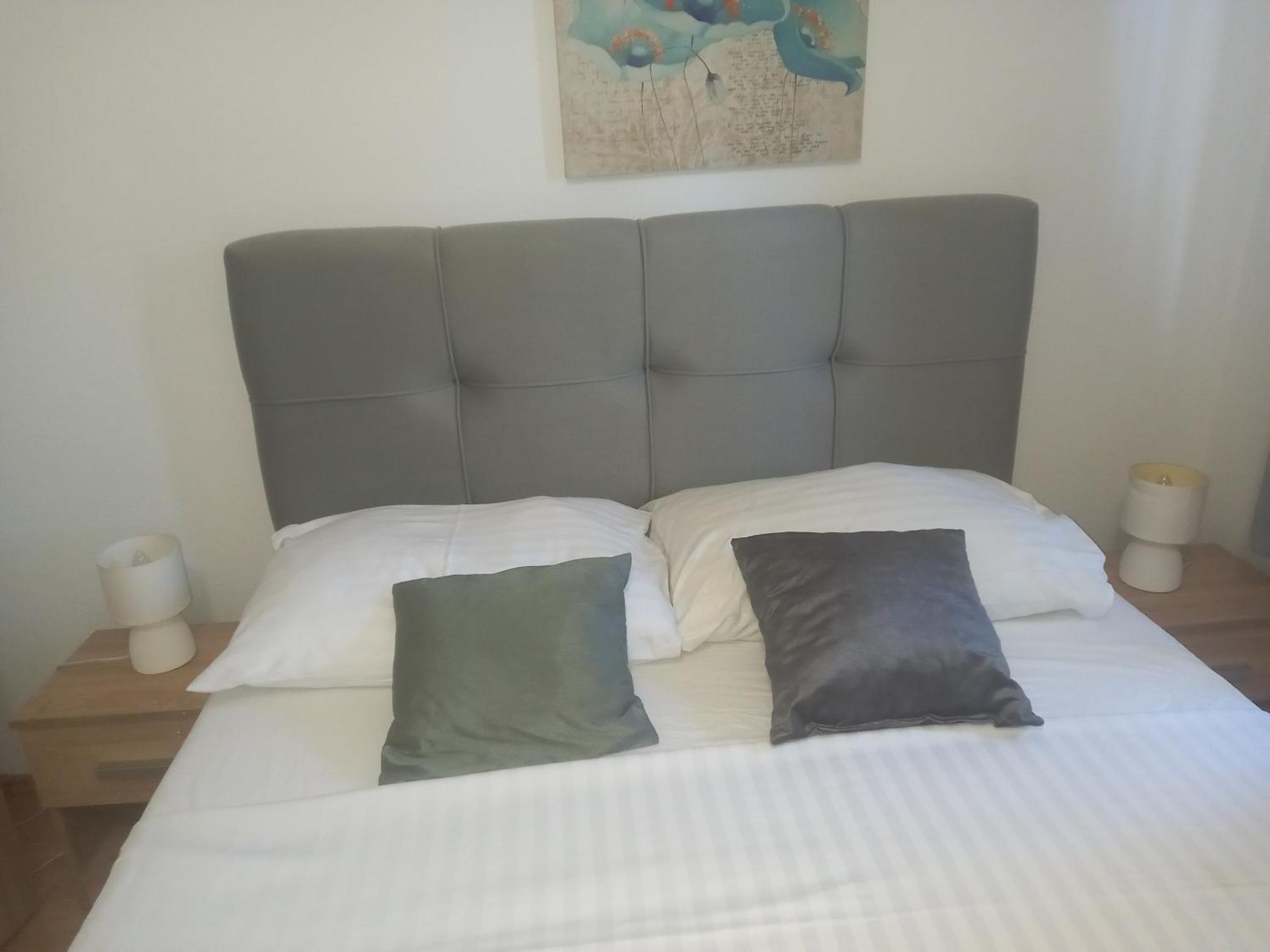 Apartmani Vranjkovic *