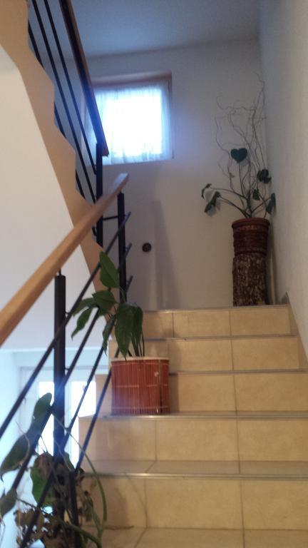 Apartment Apartmani Vranjkovic *